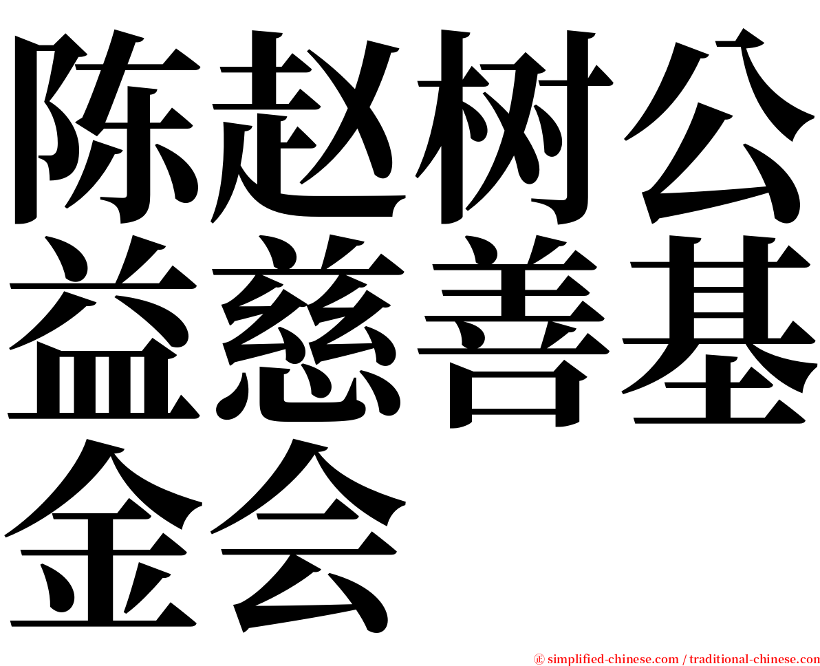 陈赵树公益慈善基金会 serif font