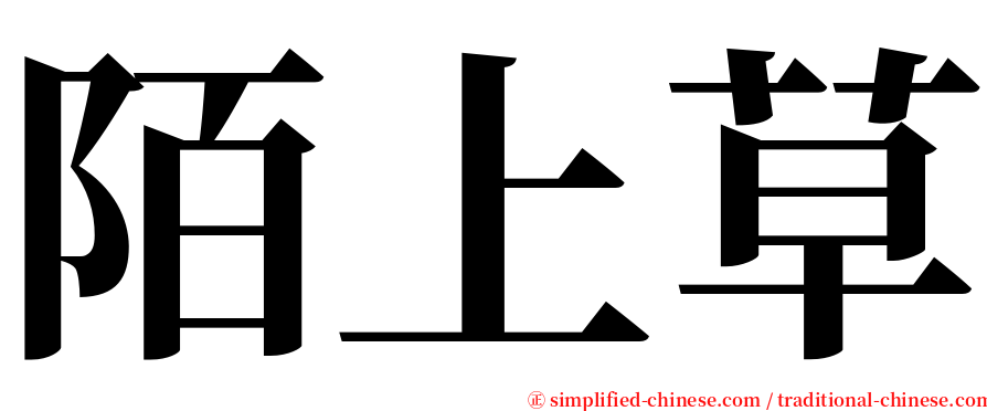 陌上草 serif font