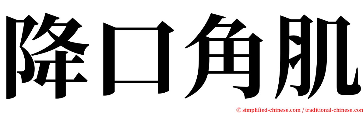 降口角肌 serif font