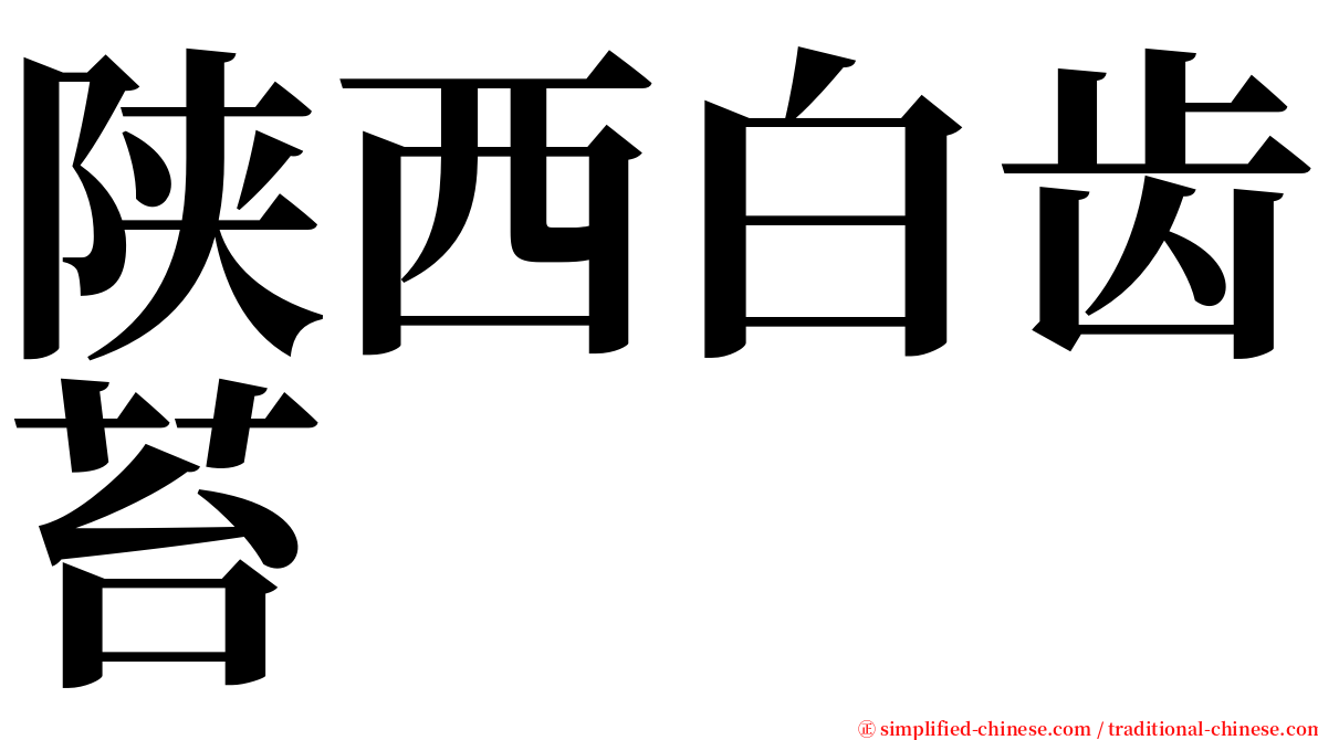 陕西白齿苔 serif font