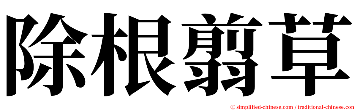 除根翦草 serif font