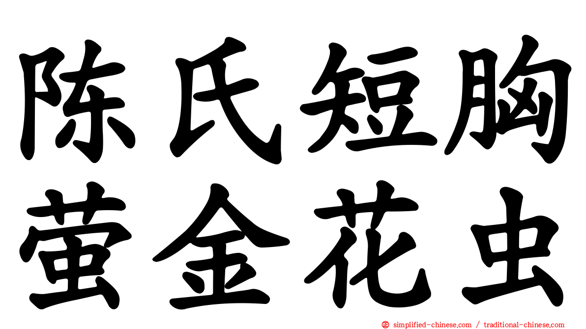 陈氏短胸萤金花虫