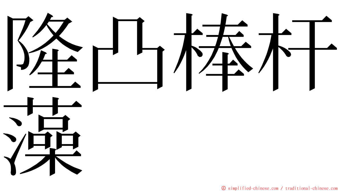 隆凸棒杆藻 ming font