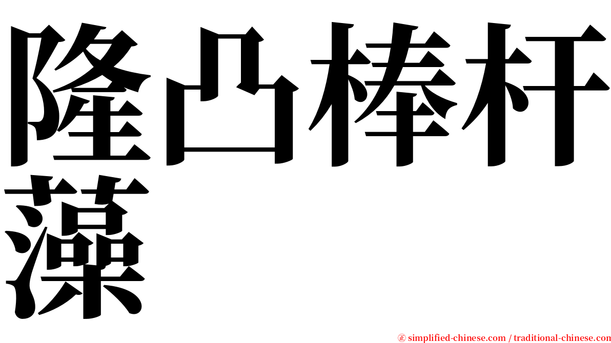 隆凸棒杆藻 serif font