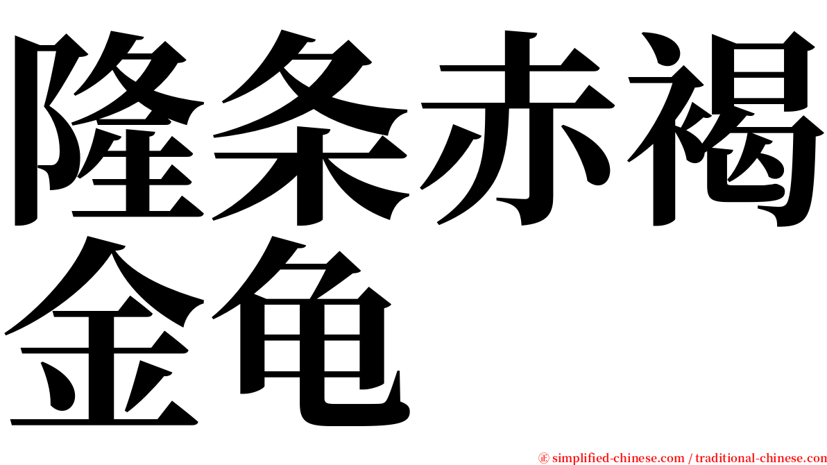 隆条赤褐金龟 serif font