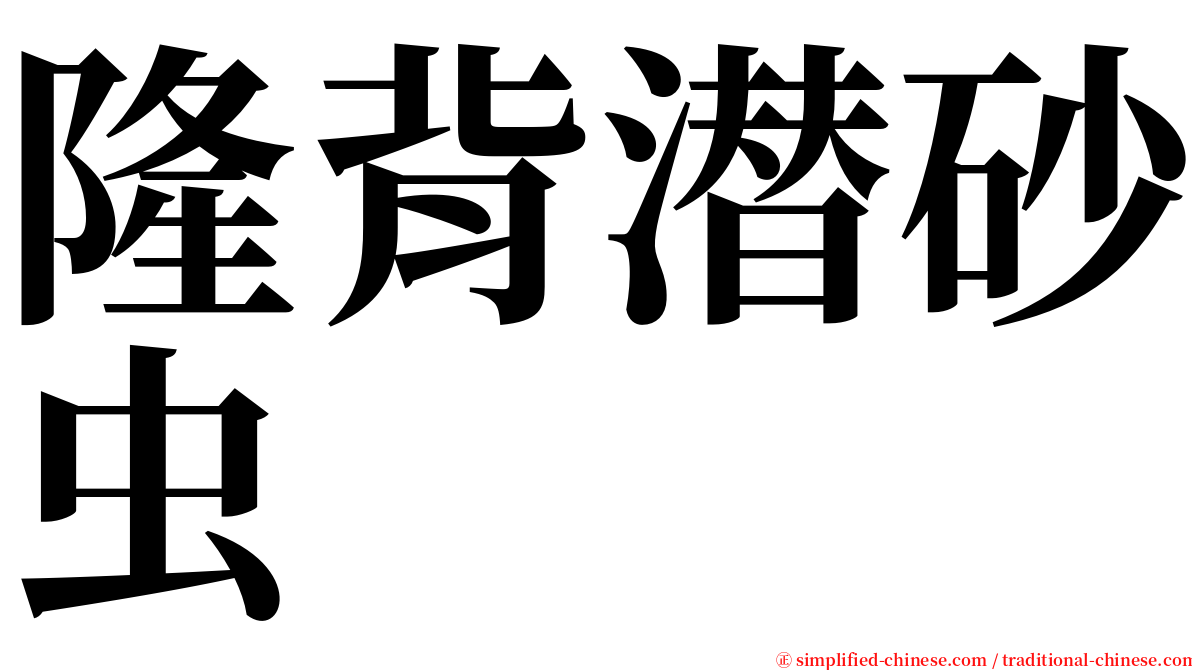 隆背潜砂虫 serif font