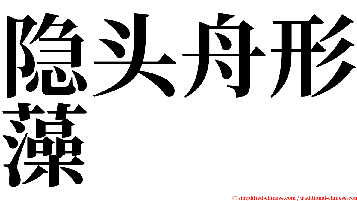 隐头舟形藻 serif font