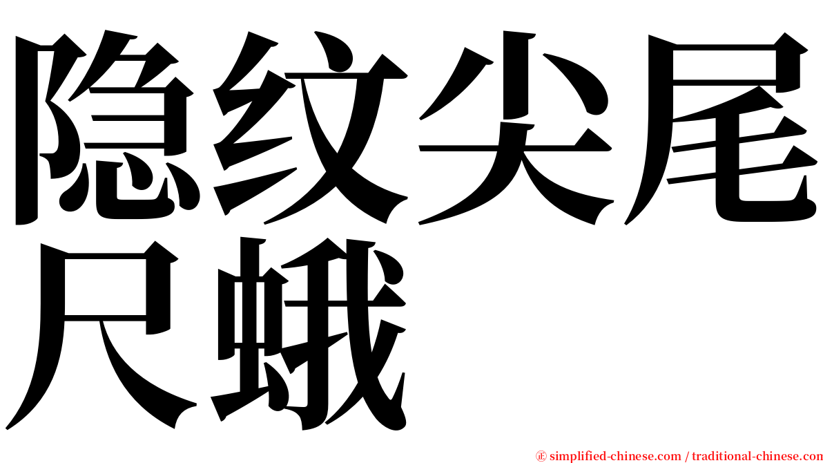 隐纹尖尾尺蛾 serif font