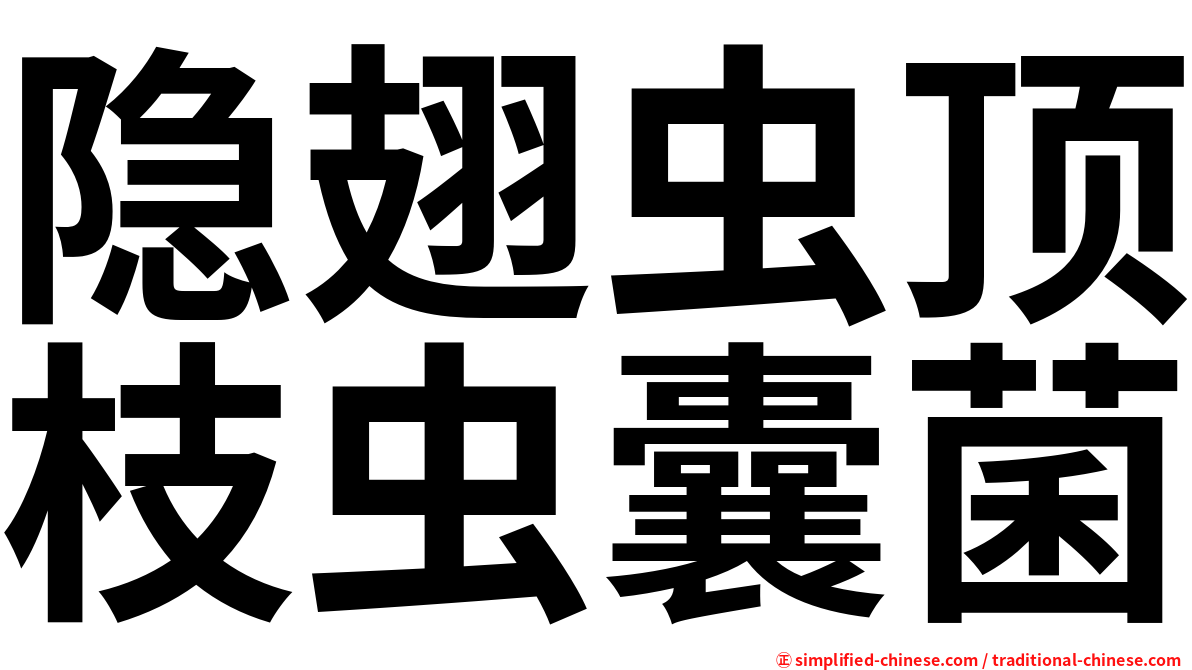 隐翅虫顶枝虫囊菌