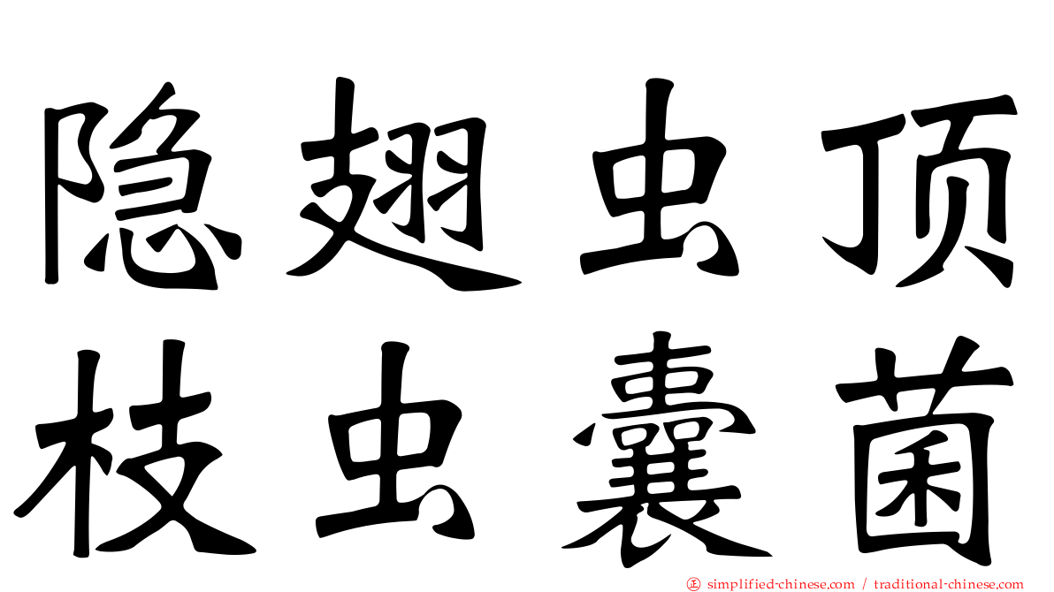 隐翅虫顶枝虫囊菌