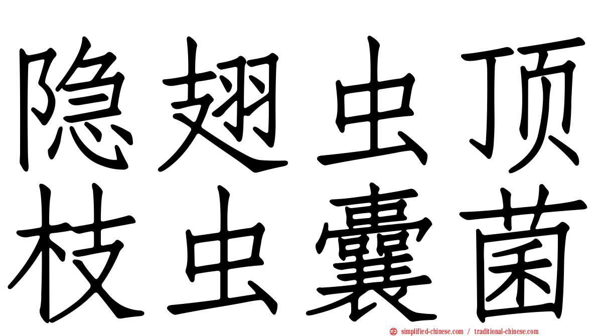 隐翅虫顶枝虫囊菌