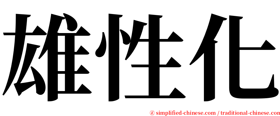 雄性化 serif font