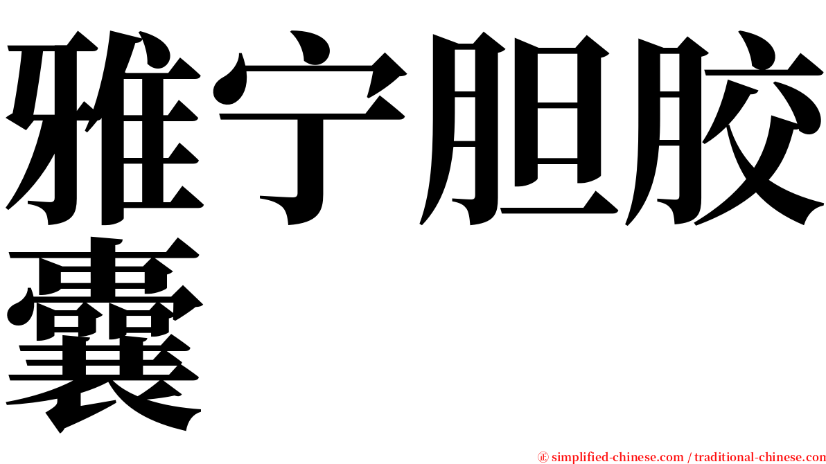 雅宁胆胶囊 serif font