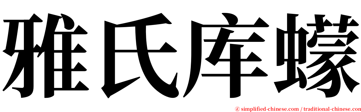 雅氏库蠓 serif font