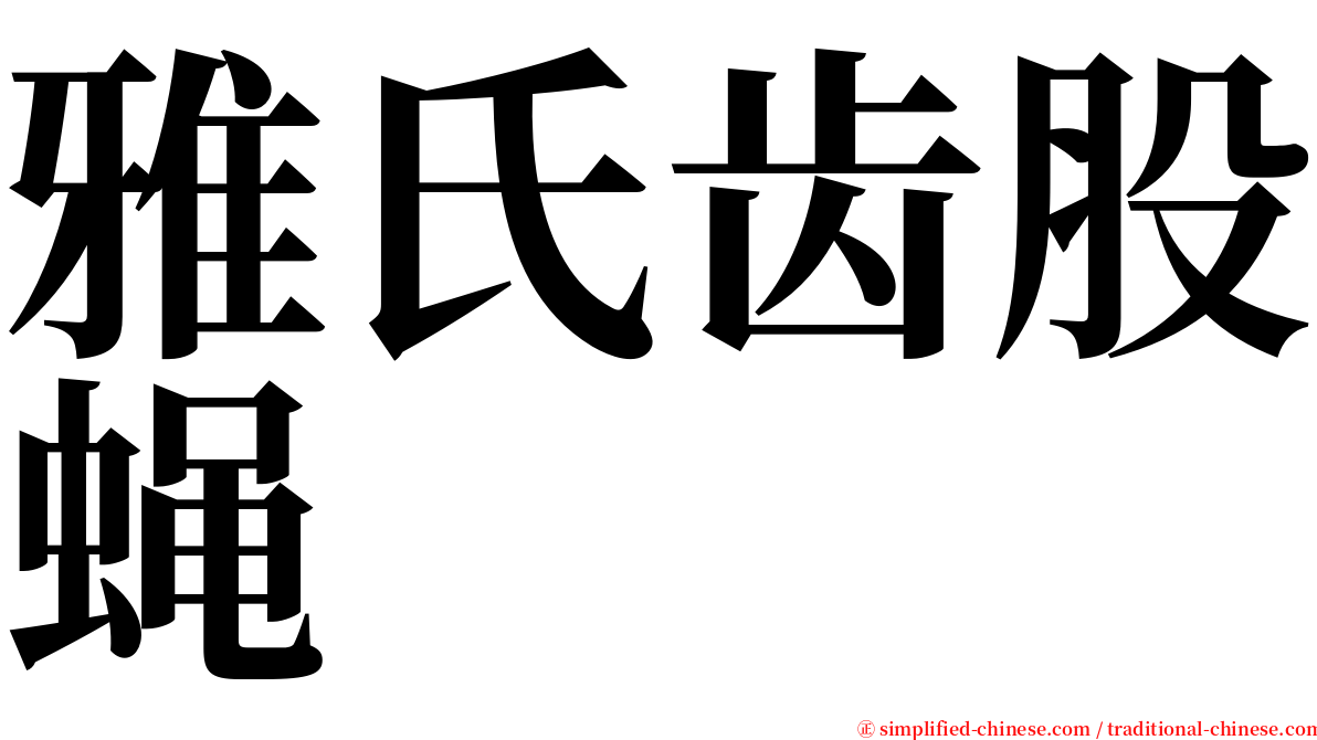 雅氏齿股蝇 serif font