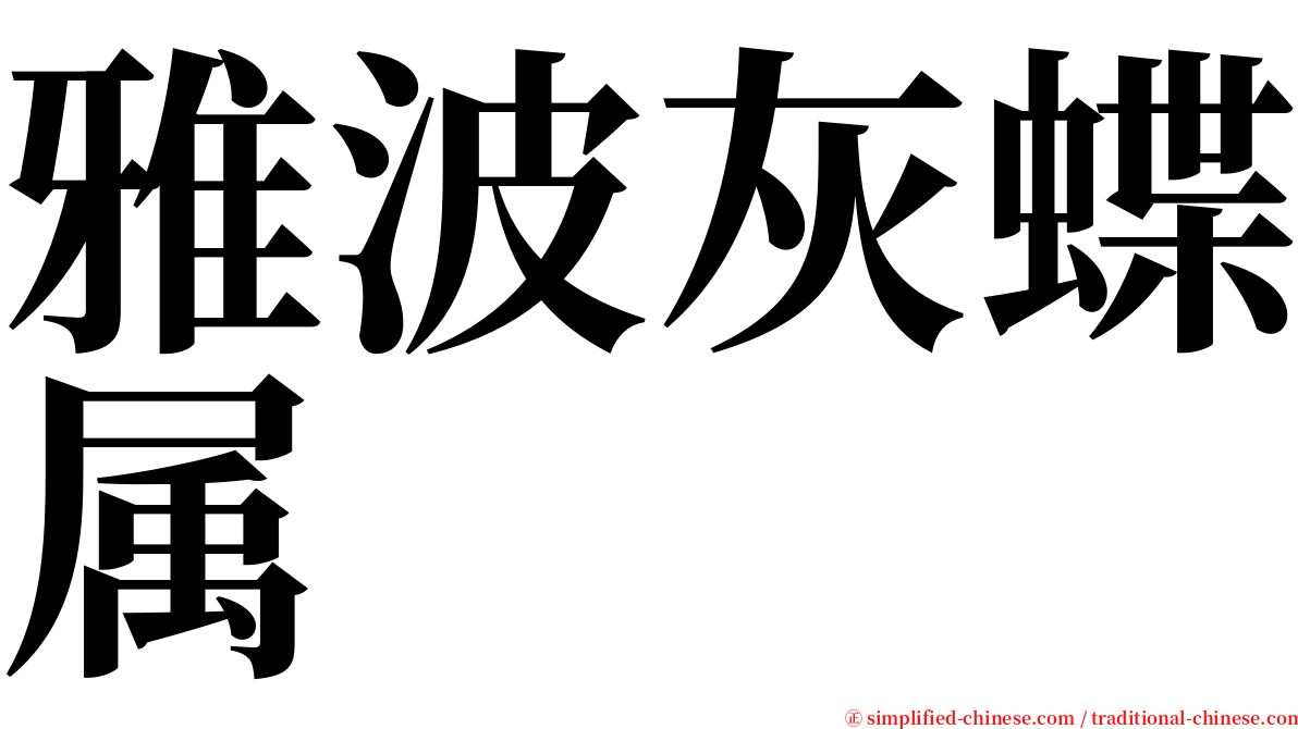 雅波灰蝶属 serif font