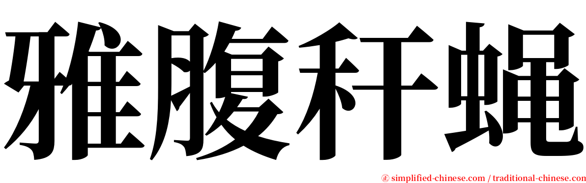 雅腹秆蝇 serif font