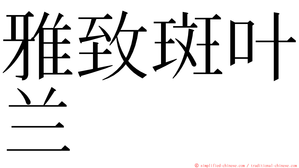 雅致斑叶兰 ming font