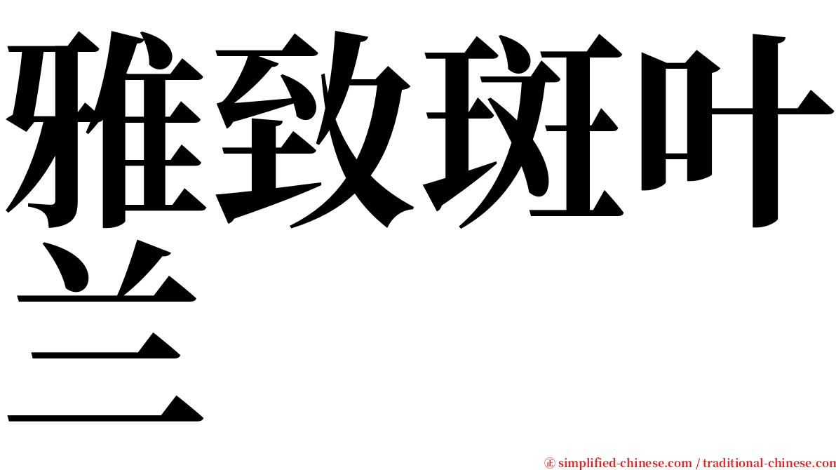 雅致斑叶兰 serif font