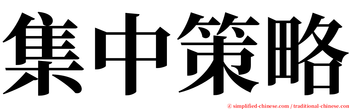 集中策略 serif font