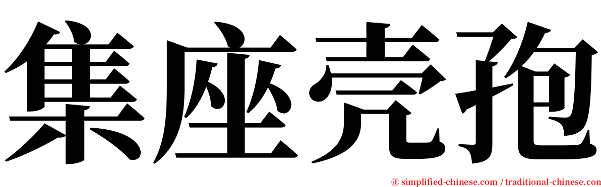 集座壳孢 serif font