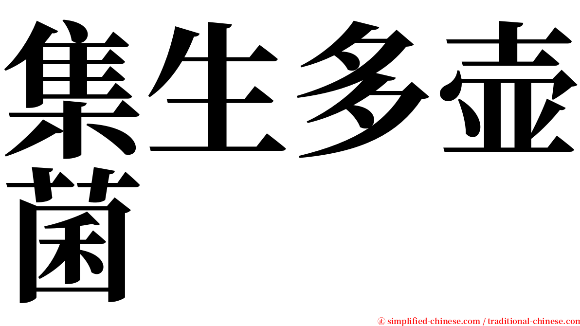 集生多壶菌 serif font