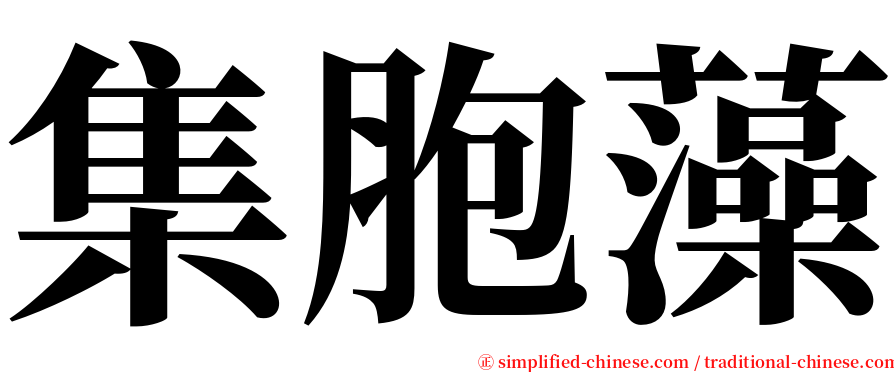 集胞藻 serif font