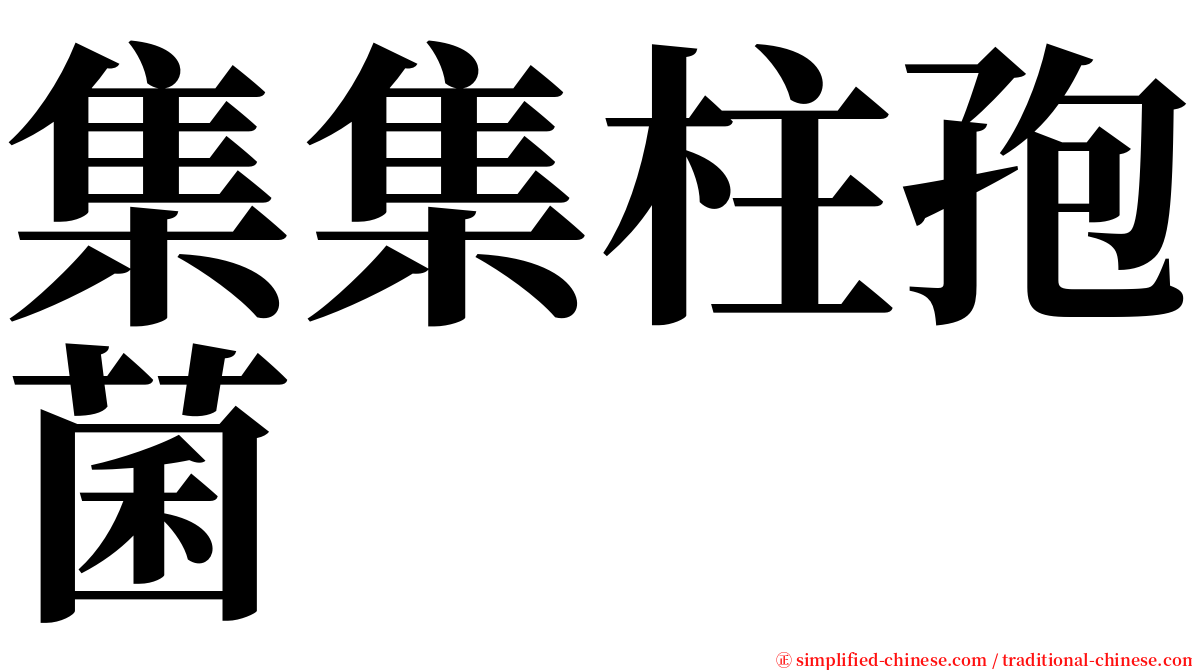 集集柱孢菌 serif font