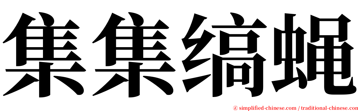 集集缟蝇 serif font