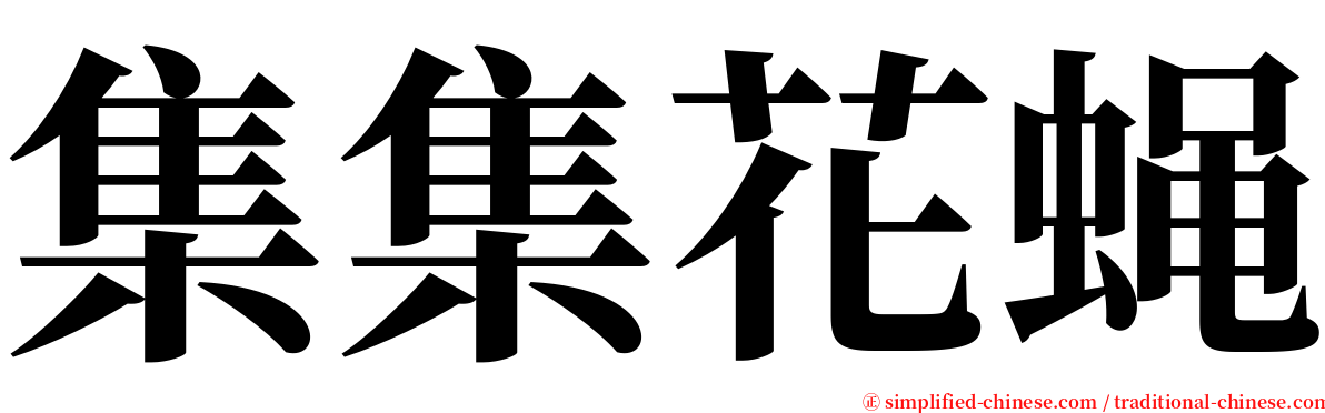 集集花蝇 serif font