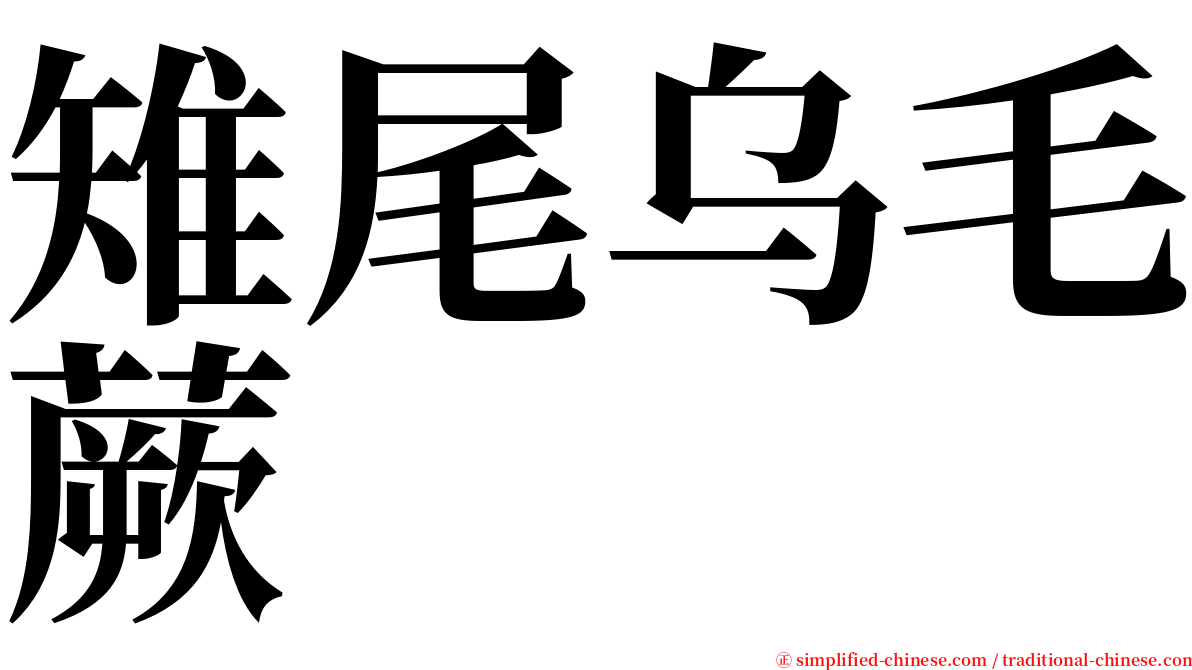 雉尾乌毛蕨 serif font