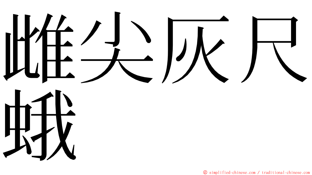 雌尖灰尺蛾 ming font