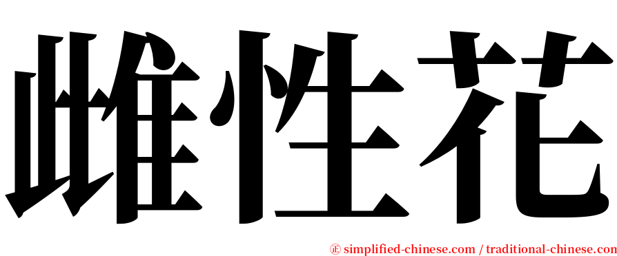 雌性花 serif font