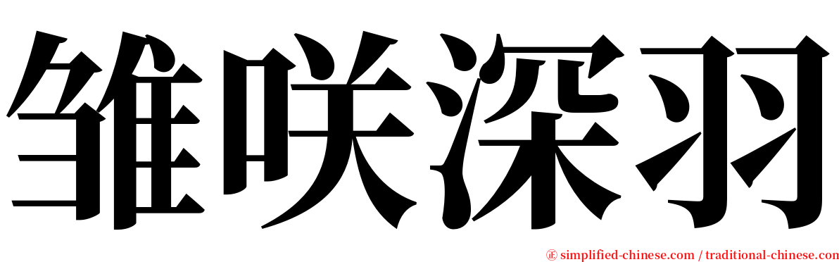 雏咲深羽 serif font