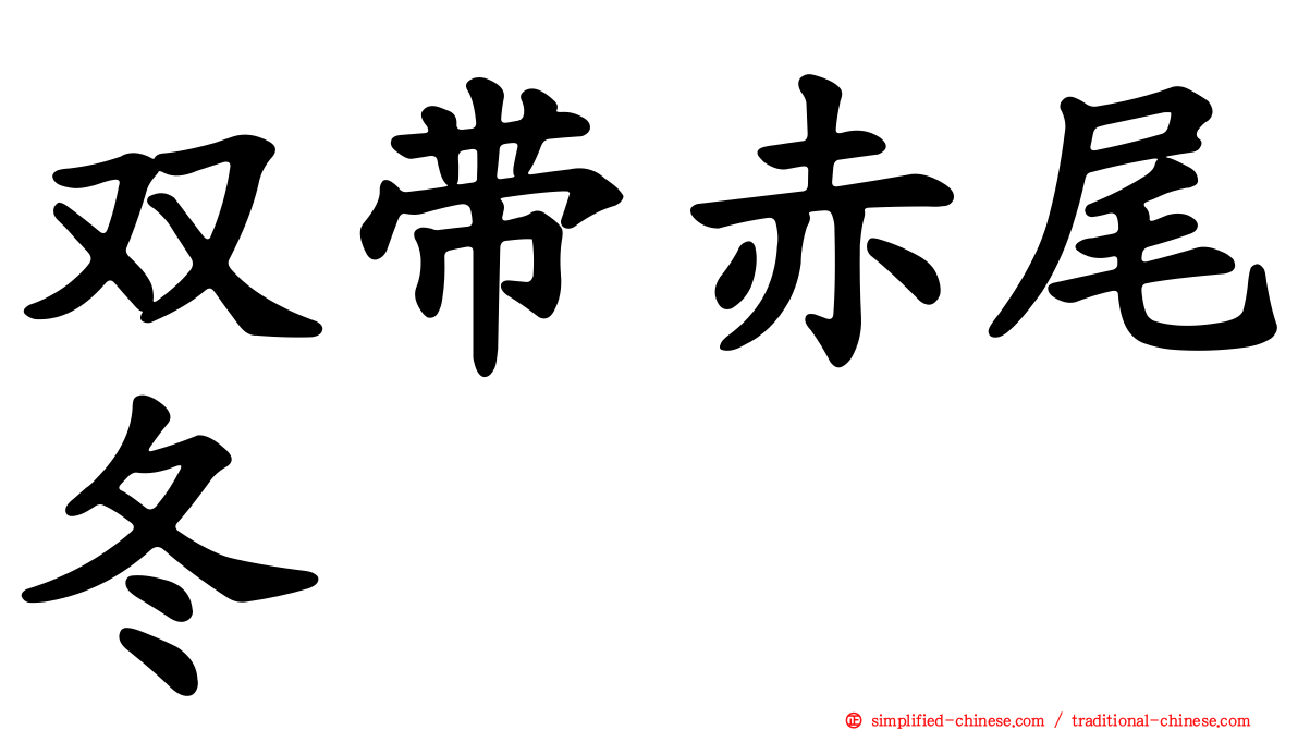 双带赤尾冬