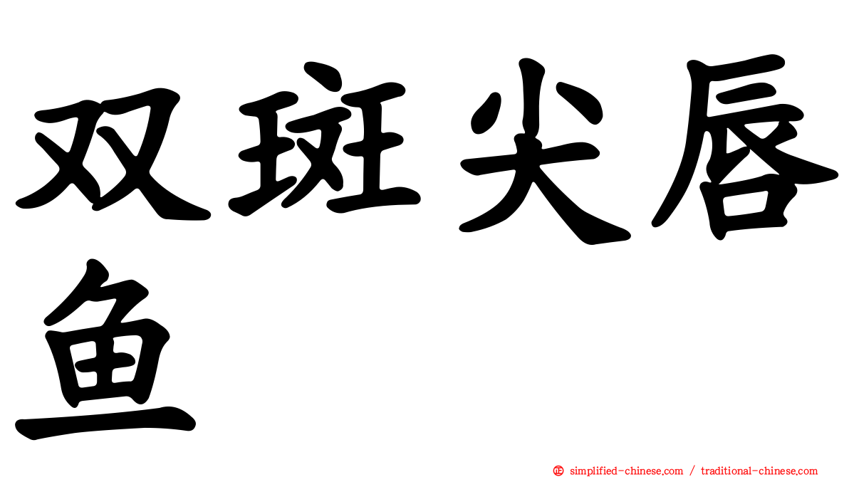 双斑尖唇鱼
