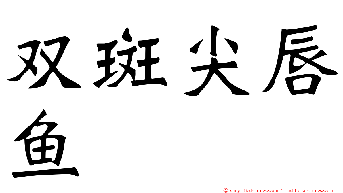 双斑尖唇鱼