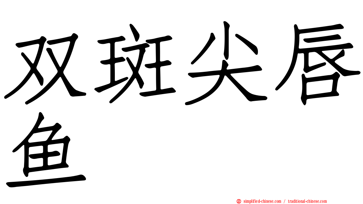 双斑尖唇鱼