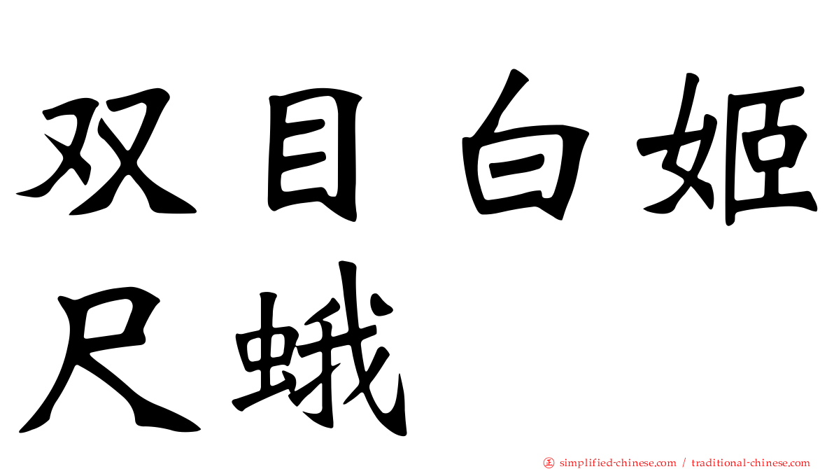 双目白姬尺蛾