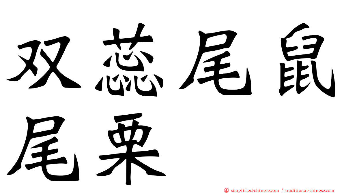 双蕊尾鼠尾栗