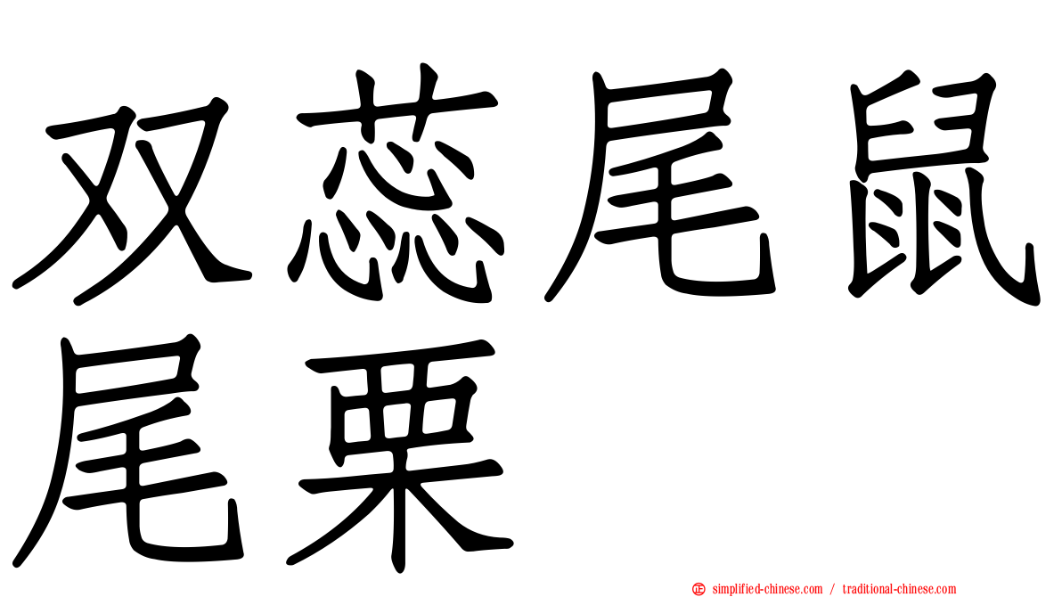 双蕊尾鼠尾栗