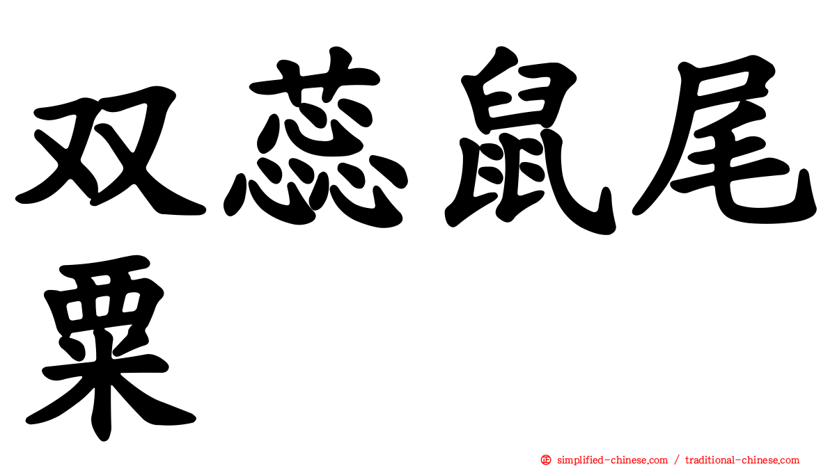 双蕊鼠尾粟