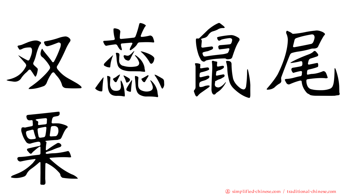 双蕊鼠尾粟