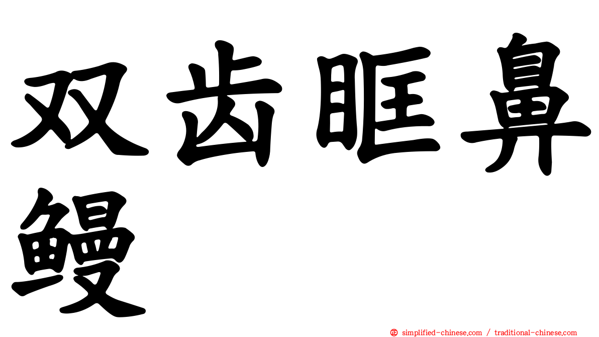 双齿眶鼻鳗