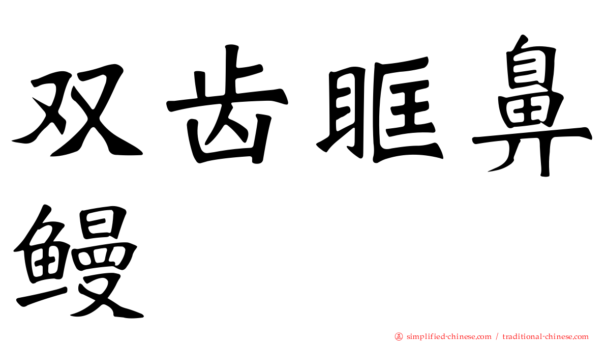 双齿眶鼻鳗