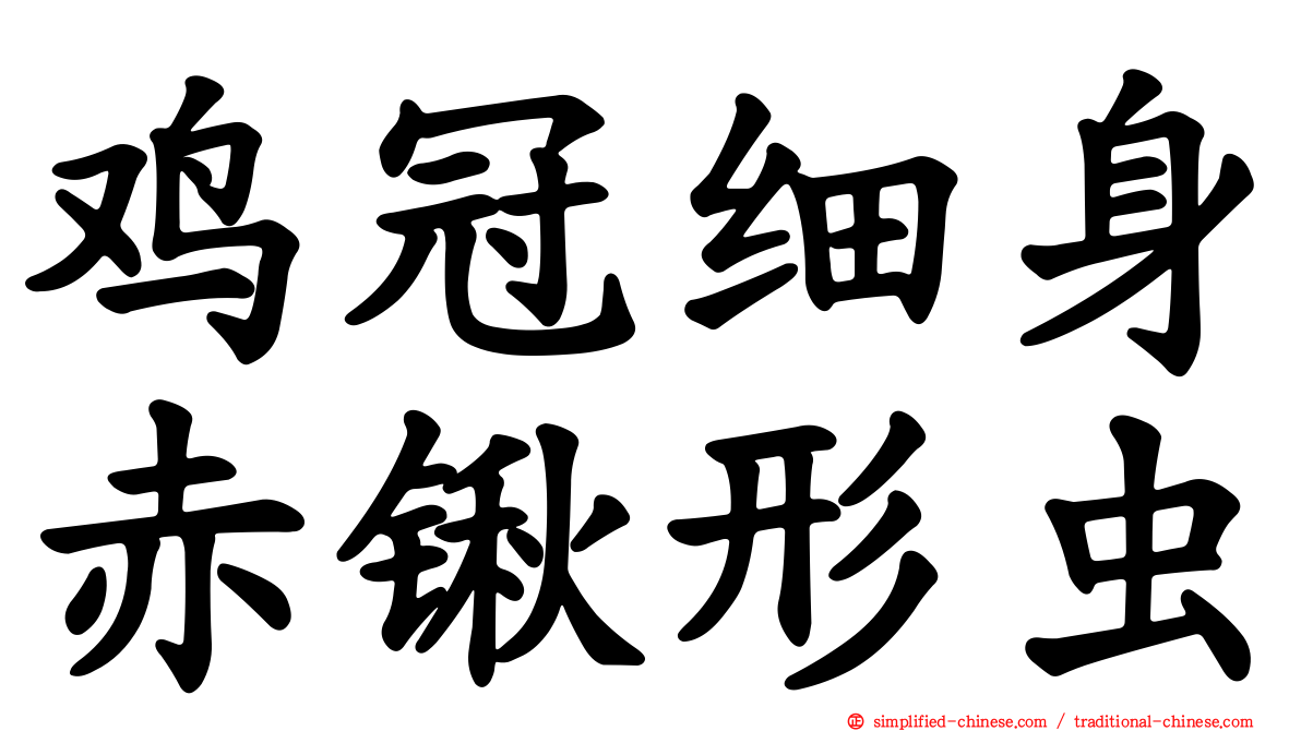 鸡冠细身赤锹形虫