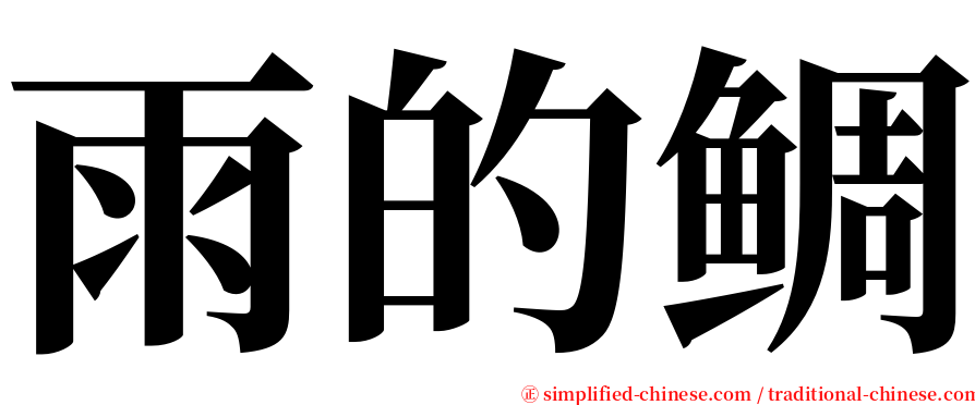 雨的鲷 serif font