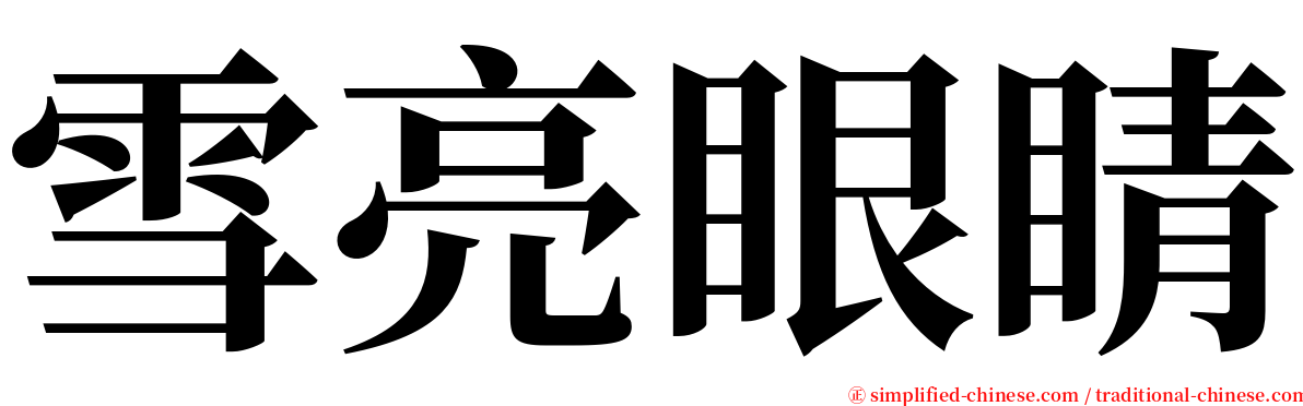 雪亮眼睛 serif font