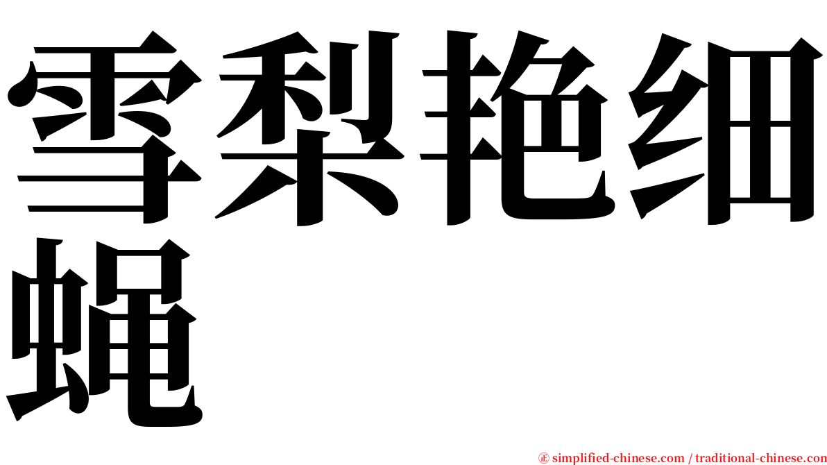 雪梨艳细蝇 serif font