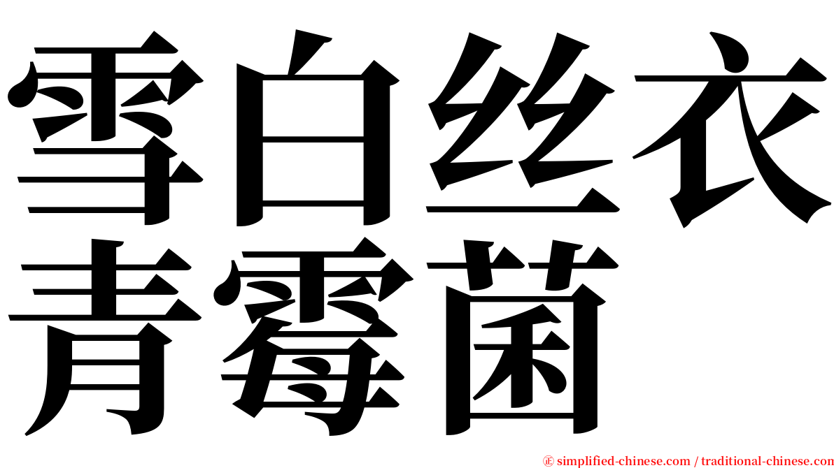 雪白丝衣青霉菌 serif font